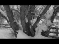 "Walking in Snow" Mini-Film by Mark Mosher http://t.co/I5NIvlxe