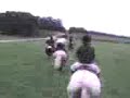 galop filmer par gladooss