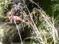 MOV01128