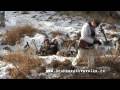 Battle of Kharkov - battle reenactment  (rekonstrukce bitvy Den Na Vychni Fronte 1943 - Královec)