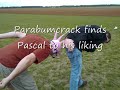 Lemmings France 10,09 b1.wmv