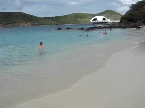 St. Thomas, Virgin Island Papa Bear ...