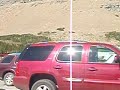 following big horn sheep in a glacier national park parking following big horn sheep in a glacier national park parking