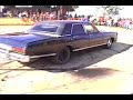 Landau Animal
