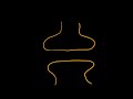 Part 8 - Synapses