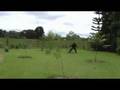 The Ninja Glare --- http://FreeWorkatHomeBudget.ingVideo.com
