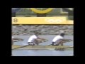 click to view this vid!