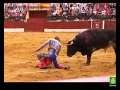 salvados por los toros 7/7