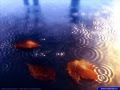 Nature-Photos