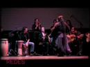 flamenco
directora: carmen de torres