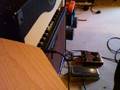 Test PV Windsor, Wylde Wah, Custom 77,...