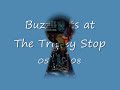 Buzz Cats at the Trolley stop