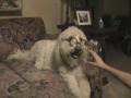 videos de M2U00976.MPG
