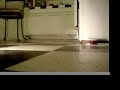 Sneaky Mouse Sneaky Mouse