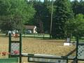 Mr. Bikers Conners 1st jumping show