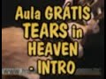 aula-gratis-maisquemusicacombr-tears-in-heaven-intro.html