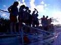 videos de The wave!