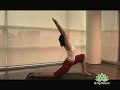 Yoga Moon Salutations