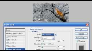Video Page Youtube To MP3 or 4