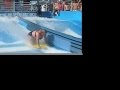 videos de MEET WANDA