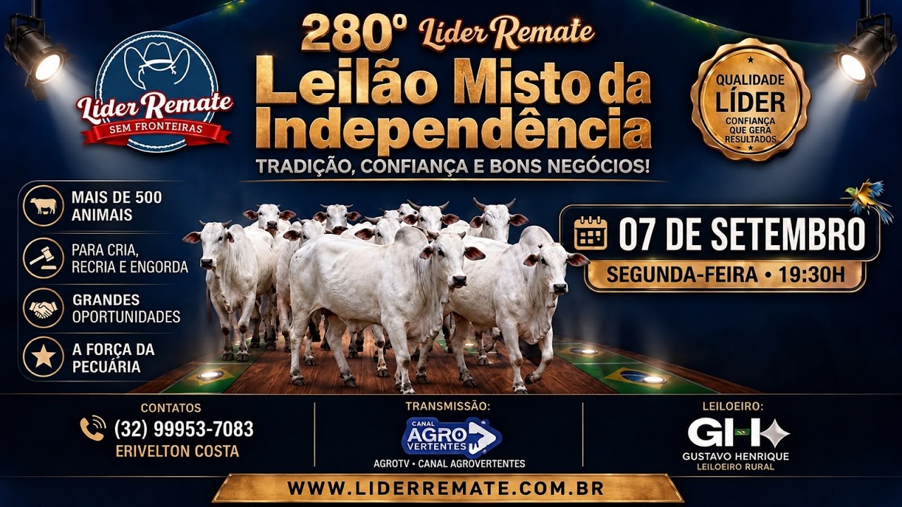 280º LEILÃO MISTO LÍDER REMATE - SÃO JOÃO DEL REI/MG - 07/09/2026