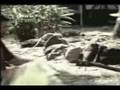 Jack Johnson - Wasting Time