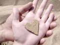 لحبيبي رودي