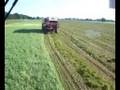 Pea Harvester 3