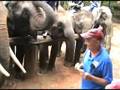 04. Dicovery Thailand