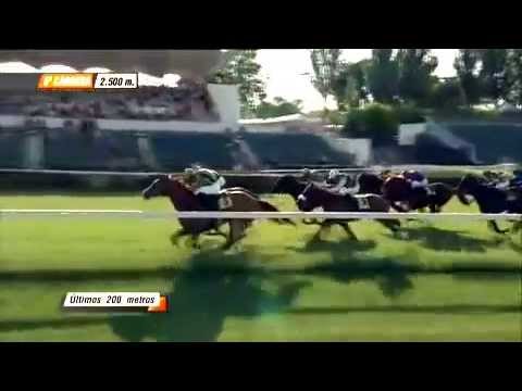 La carrera de caballos más emocionante y emotiva