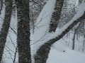 More pow in Ørsta
