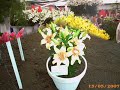 flowers-of-keukenkof.html