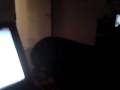 videos de Edvin ylar2