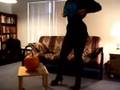 Wild BOOB Bloopers!!!