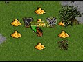 Tibia My History Celesta
