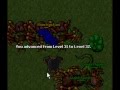 Tibia My History Celesta