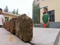 Tragedy inspires hope for China's orphans - 6 Oct 2008