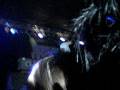 videos de (112908) Pierce the Veil (grand entrance)