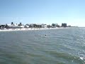 Dolphin at Ft Myers Beach pier