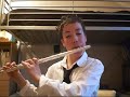 irish washerwoman by andy martin age 14 on flute