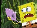 The Magic Conch Shell