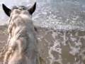 Strandrit met Guccio en Baggio deel 2