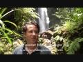 Roseau market tour & Trafalgar falls - Jungle Bay Resort & Spa, Dominica