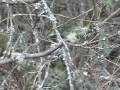 Nature\