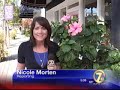 Local Retailers Slashing Prices for Black Friday.wmv