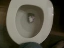 Will It flush?? Part 1 Will It flush?? Part 1