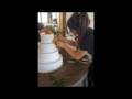 videos de ashley's second first