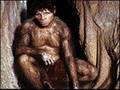  - MovieZen Video