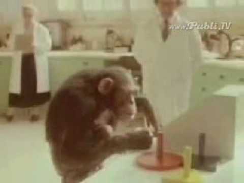 Monos.wmv