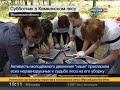 Подробности казуса: navalny.livejournal.com